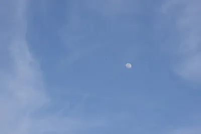 DSC_2336 (Large).JPG